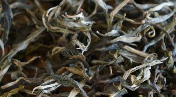 茶学入门︱解密·普洱茶干燥