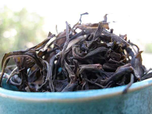 能从叶子大小分别普洱茶的树龄吗？