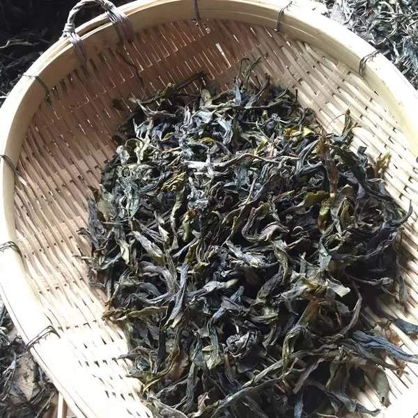 最便宜的古树普洱茶成本是多少一斤？