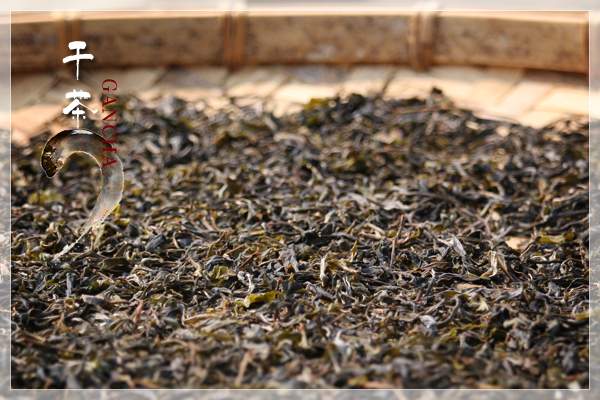 从茶山到茶杯：图文讲解普洱茶制作工艺