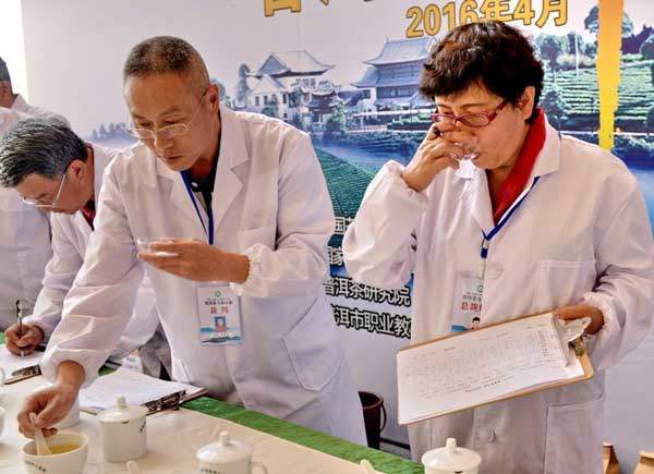 2016“中国茶·普洱味”普洱茶文化活动月在茶都启动