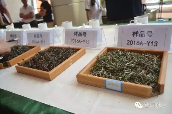 2016年普洱茶斗茶大赛“茶王”即将揭晓