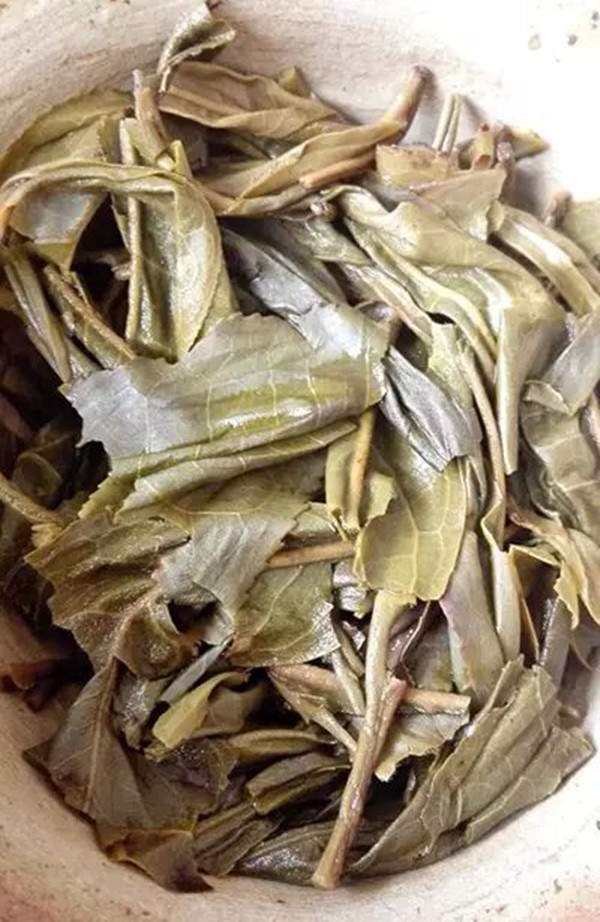 普洱古树茶的“革质感”是什么样的？