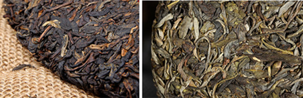 普洱茶有农残能喝出来吗？古树茶为什么农残少？
