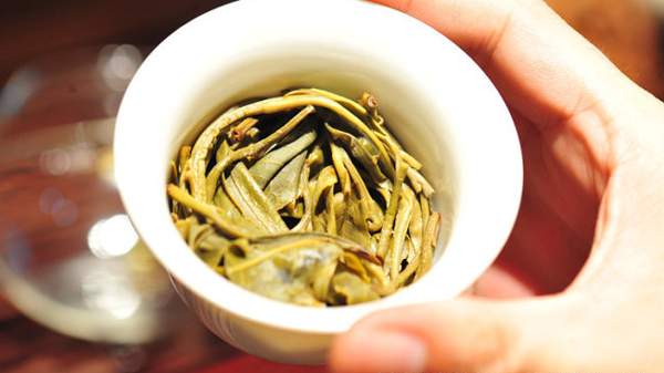 普洱古树春茶的鲜香和陈香有什么特点和不同