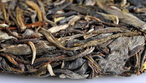 普洱茶中的茶毫是什么，会影响茶叶品质吗？