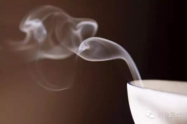 答疑解惑：为什么很多人都说喝普洱茶会上瘾？