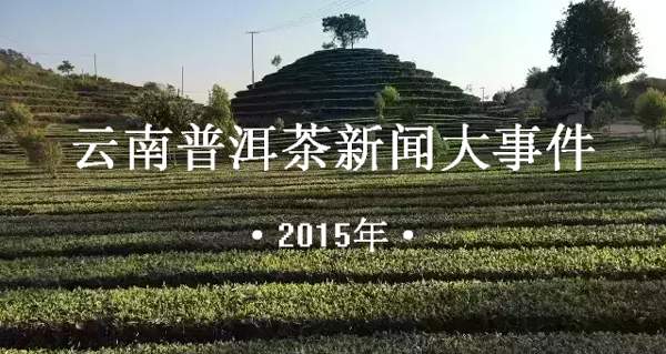 2015年云南普洱茶新闻大事件盘点