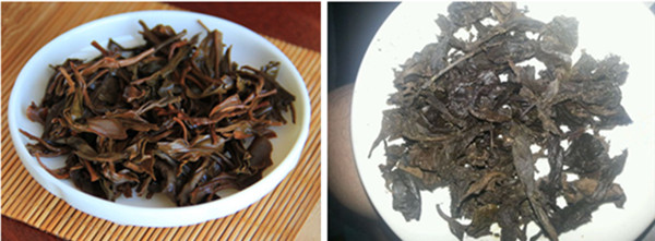 普洱茶与安化黑茶的区别