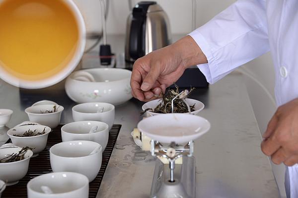 普洱茶纯料和拼配与心的纯正和技术的深刻｜茶语锐评