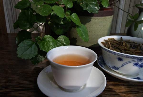 回甘、生津是普洱茶最迷人的特性之一
