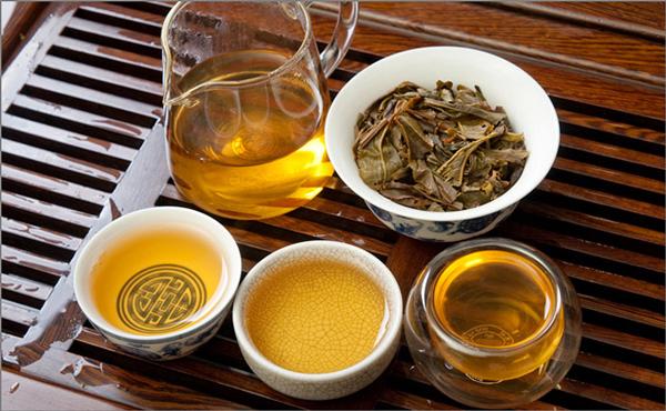 从汤色辨证普洱古树生茶的品质