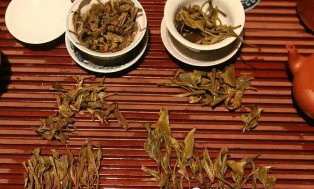 从形态上鉴别普洱古树茶与台地茶