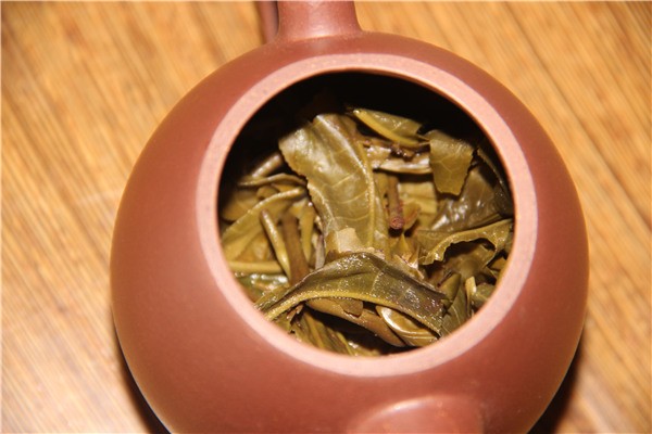 普洱茶的形美三：对叶底的形美考究
