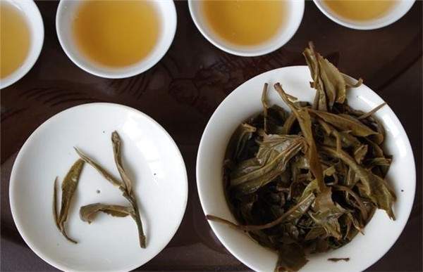 喝普洱生茶好还是熟茶好？生茶和熟茶适合在睡前喝吗？