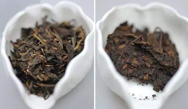 什么是普洱茶生茶，什么是普洱茶熟茶？