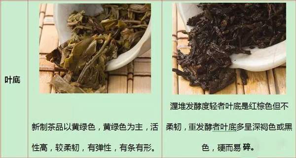 如何区分普洱生茶和熟茶？