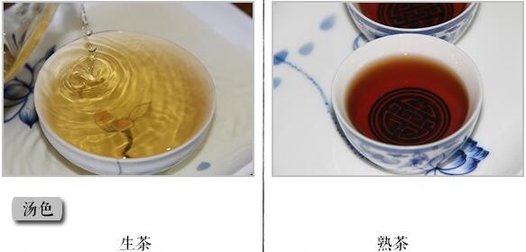 关于普洱生茶、熟茶的区别以及减肥功效