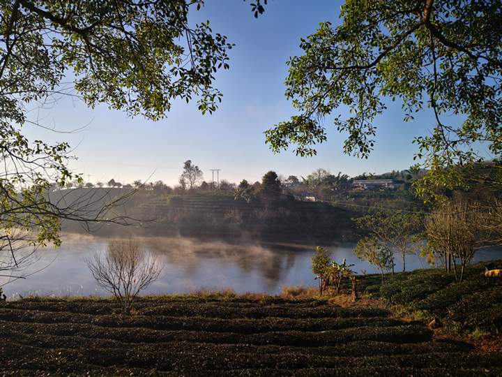 黄龙山普洱茶公园：普洱打造“茶旅融合”新亮点【多图】