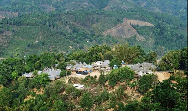 普洱茶知名村寨的生态环境如何？