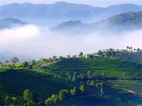 普洱茶产区——普洱市