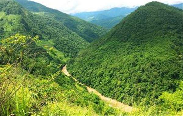 云南普洱茶山记录：100多个古树茶产区上千个寨子！