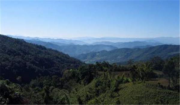 云南普洱茶山记录：100多个古树茶产区上千个寨子！