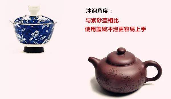 从来品饮角度喝普洱茶：盖碗泡和壶泡哪个更好？
