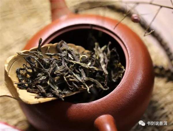 新手该如何泡茶：普洱茶怎样泡出属于自己的味道？