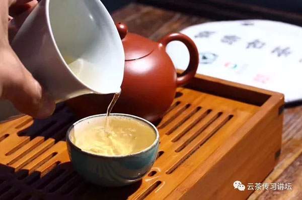 普洱茶标准冲泡方法：普洱生茶的冲泡