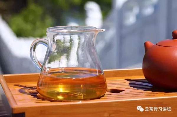 普洱茶标准冲泡方法：普洱生茶的冲泡