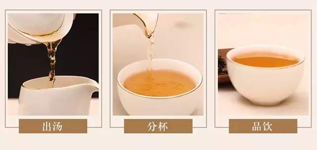 如何有技巧地冲泡一杯普洱生茶？