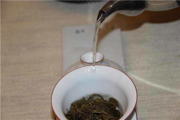【视频】普洱茶沱茶的冲泡方法