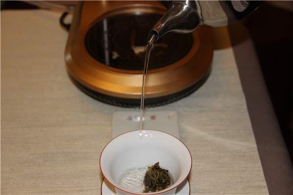 【视频】普洱茶沱茶的冲泡方法