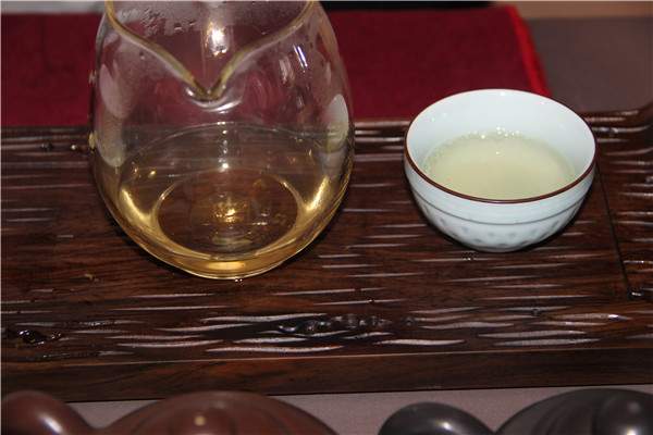 【新手入门】普洱茶新生茶的冲泡方法