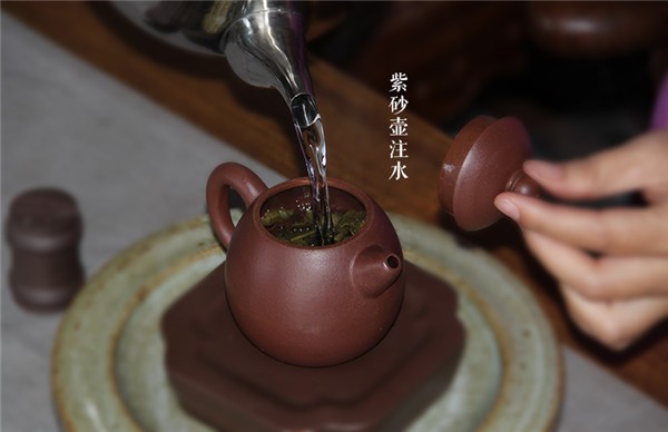 详解|紫砂壶冲泡普洱茶的方法