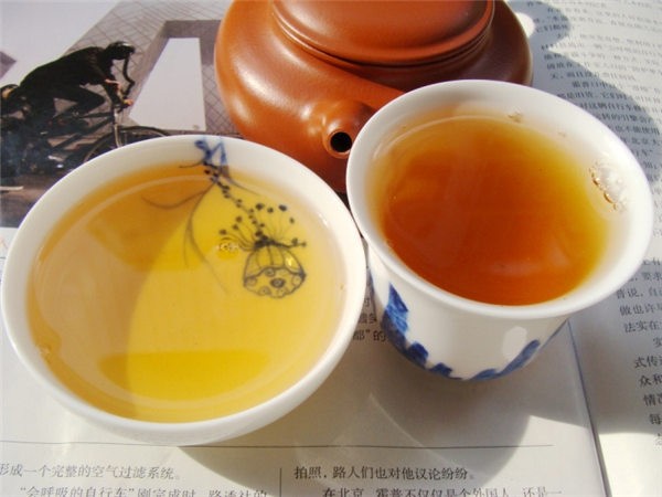 广东仓普洱生熟茶的湿醒冲泡程序