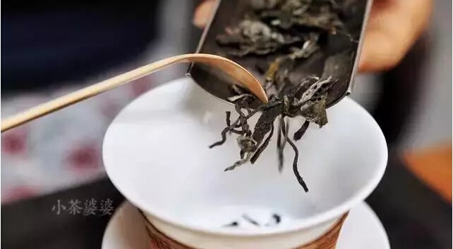 小茶婆婆·当年的普洱生茶怎样冲泡最好喝？