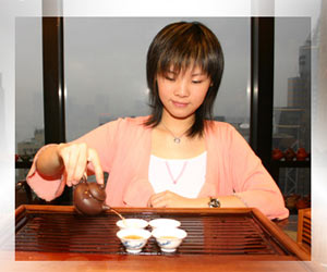 紫砂壶冲泡普洱茶的方法