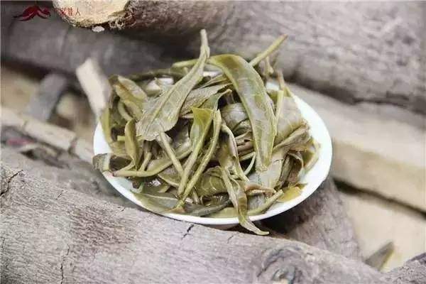 必看｜如何界定普洱茶藏茶的品质？如何正确保存普洱茶？