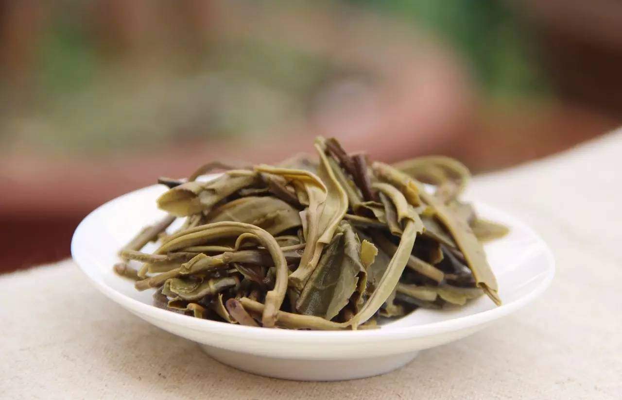 必看｜如何界定普洱茶藏茶的品质？如何正确保存普洱茶？