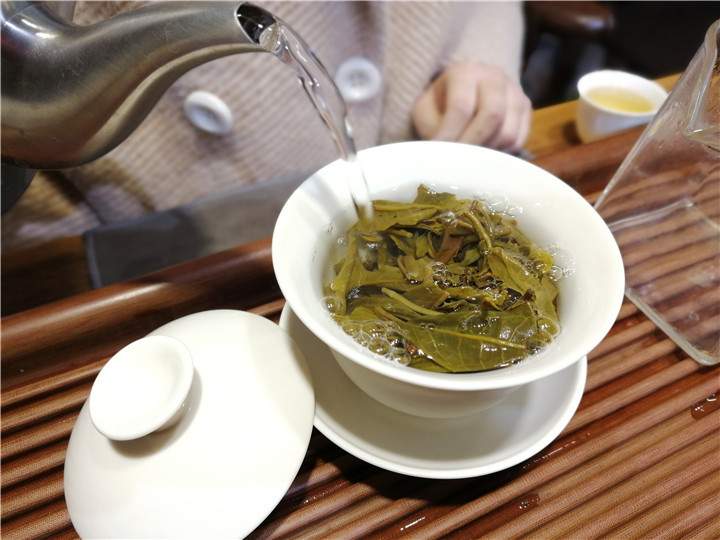 绿春玛玉茶的历史发展