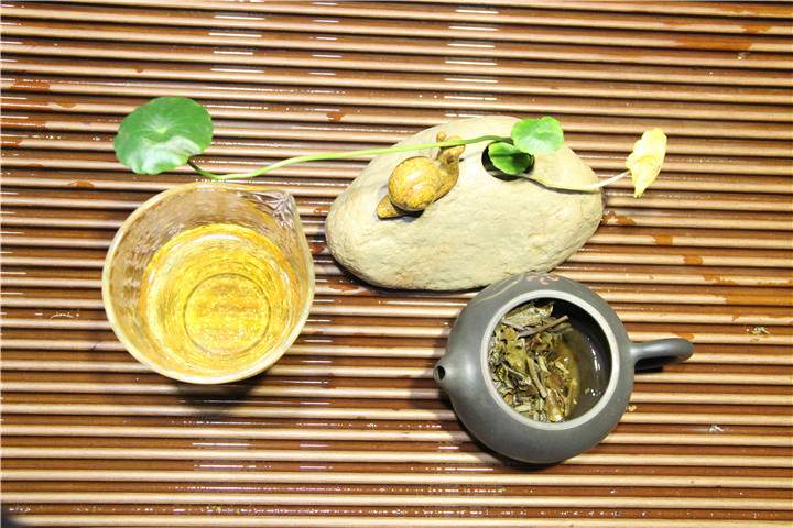 单枞茶茶树品种之橙花香型介绍