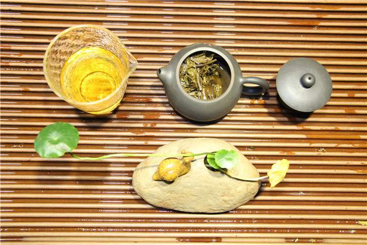单枞茶茶树品种之茉莉香型介绍