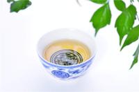 怎么区分铁观音的毛茶和净茶？