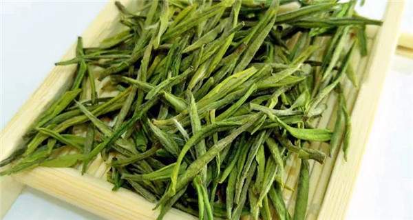 安吉白茶為什么屬于綠茶呢？