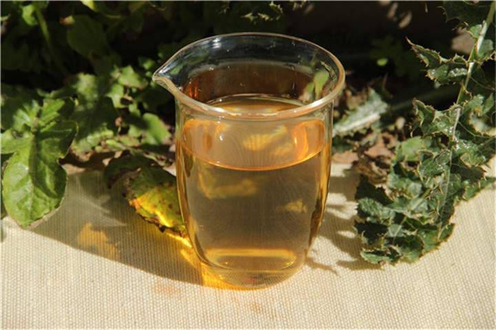 梵净山翠峰茶的加工工艺与质量特色