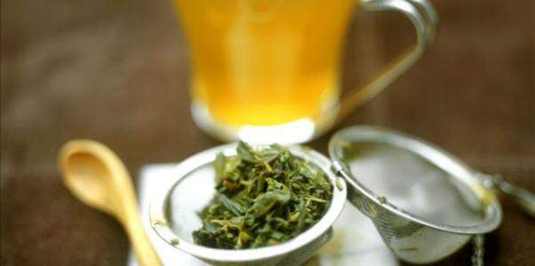 绿茶怎么喝最有营养？