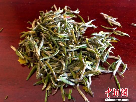 从“奢侈品”到“必需品”浙江衢州全民饮茶复兴茶产业