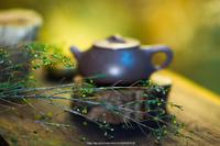 宋代茶史概述饮茶之风“始于唐，盛于宋”